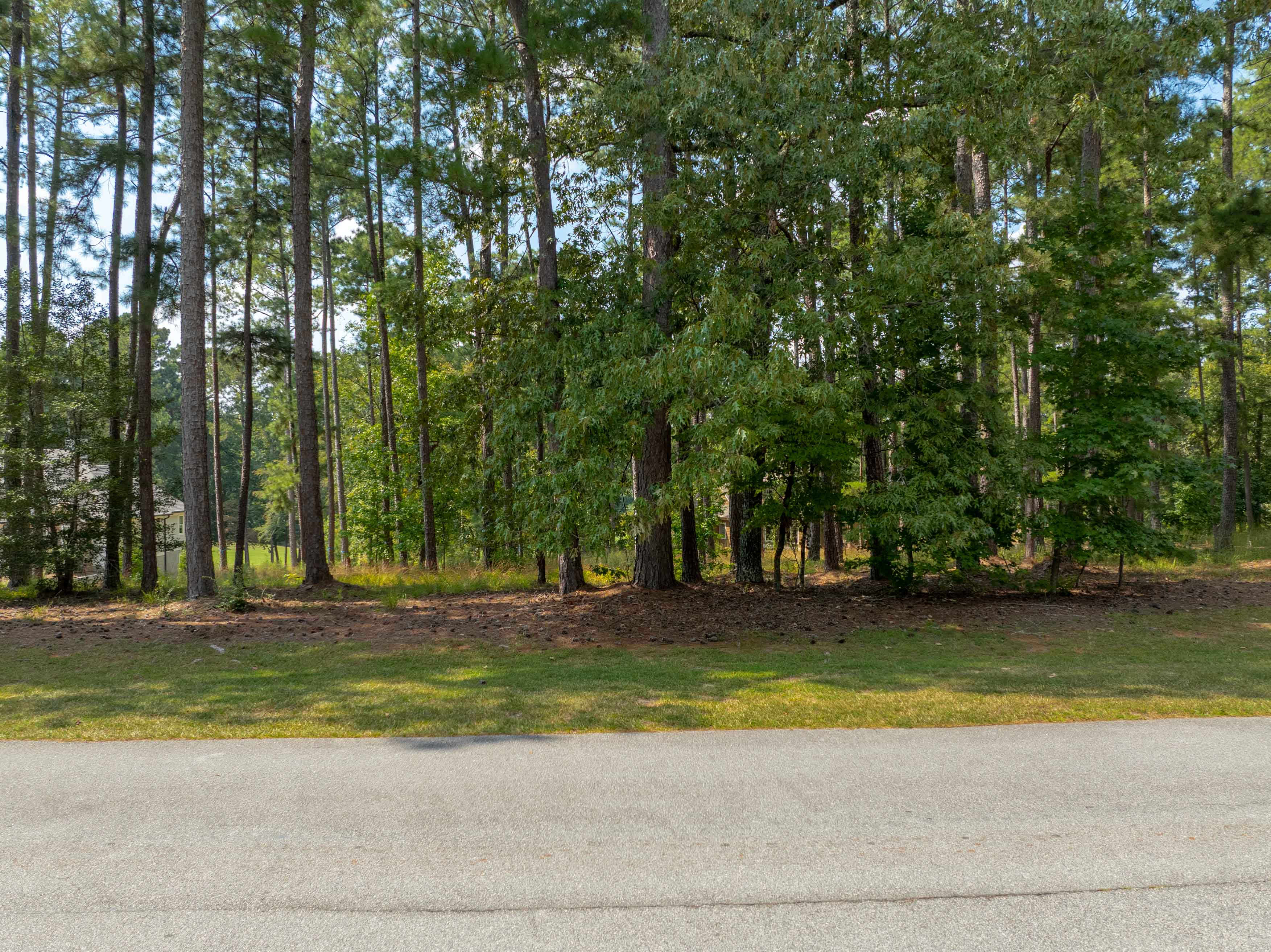 1011 Kimbrough Hill Drive image 2